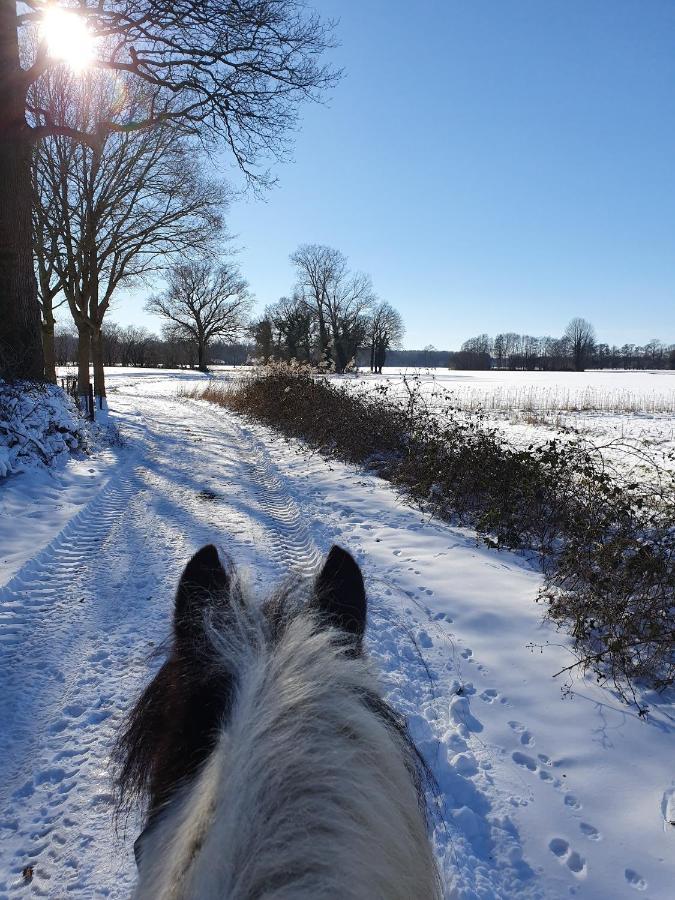Leuk Boerderijtje Op Prachtige Plek, Nabij Natuurgebied Ruurlo Kültér fotó